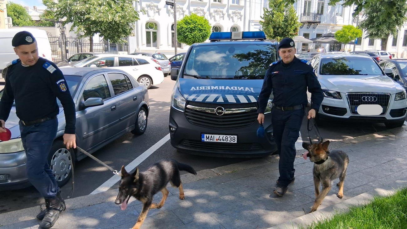 Iz și Zoor, cei mai noi membri ai echipei canine din cadrul Jandarmeriei Brăila