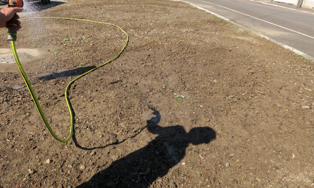 Spațiu verde amenajat pe munca și cheltuiala cetățenilor