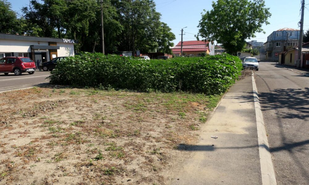 Spațiu verde amenajat pe munca și cheltuiala cetățenilor
