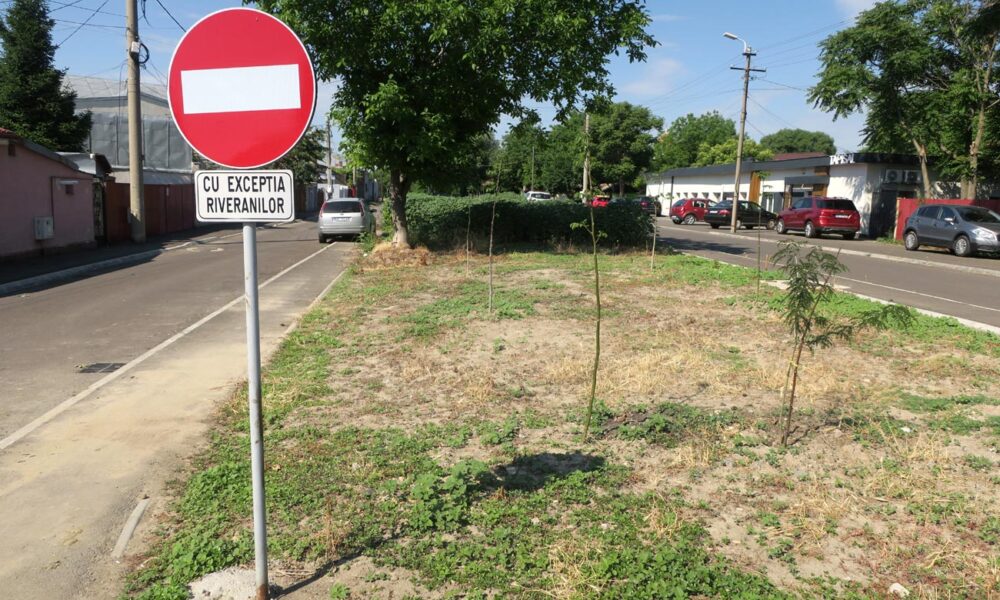 Spațiu verde amenajat pe munca și cheltuiala cetățenilor