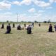 Încă 23 de martiri uciși de regimul comunist, găsiți în Insula Mare a Brăilei