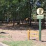 Brăila are, în sfârșit, un loc de picnic autorizat