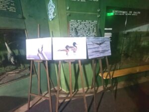 „Spectacolul Dunării”. Expoziție de fotografie la Științele Naturii