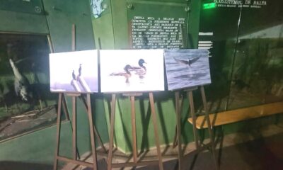 „Spectacolul Dunării”. Expoziție de fotografie la Științele Naturii