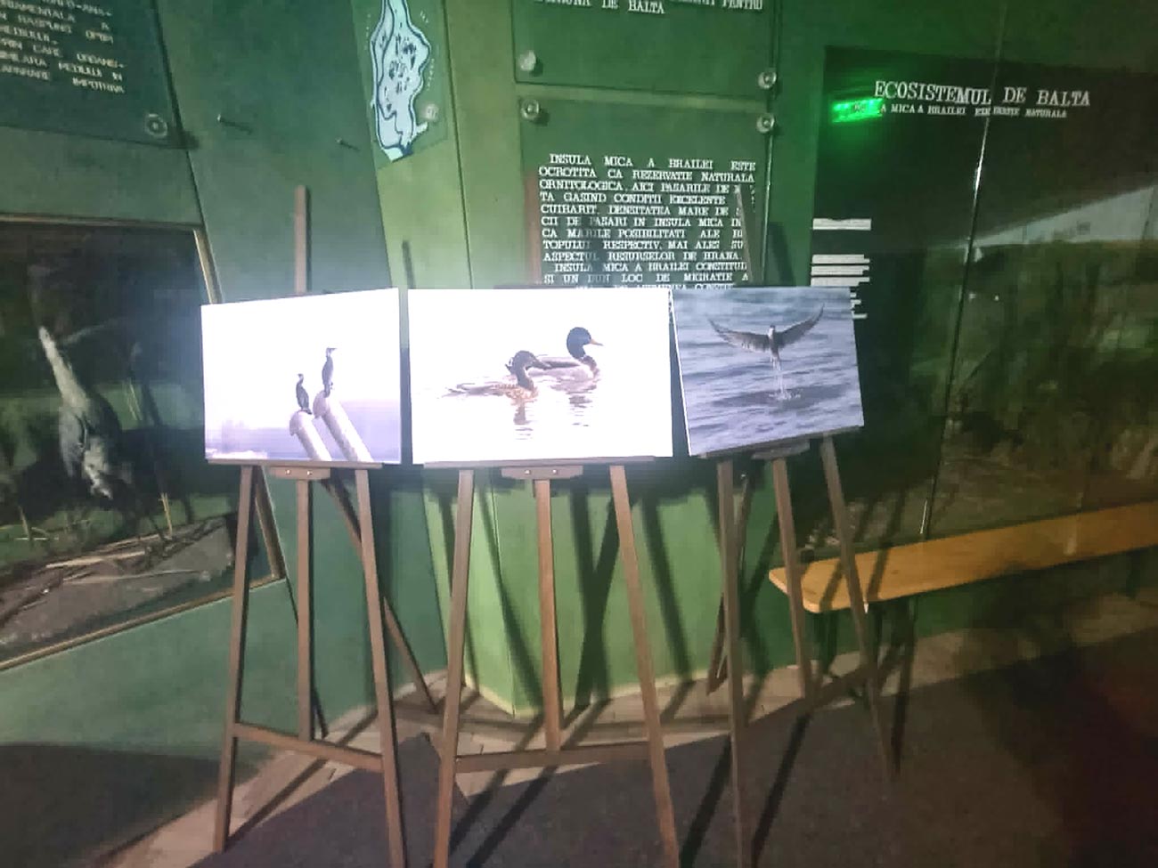 „Spectacolul Dunării”. Expoziție de fotografie la Științele Naturii