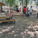 Locul de picnic din stațiunea Lacu Sărat a primit botezul focului