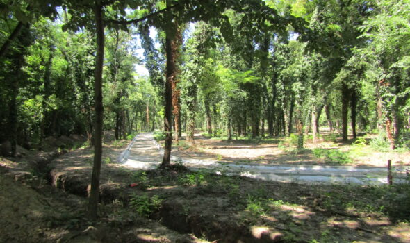Parcul Căprioarelor prinde contur