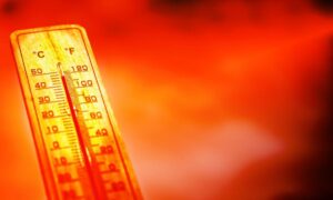 Peste 10.000 de decese în exces în Europa, în doar o săptămână de caniculă. Oamenii de știință avertizează că schimbările climatice au amplificat fenomenul