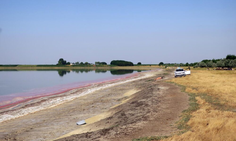 Lacul Movila Miresii, vedetă de festival