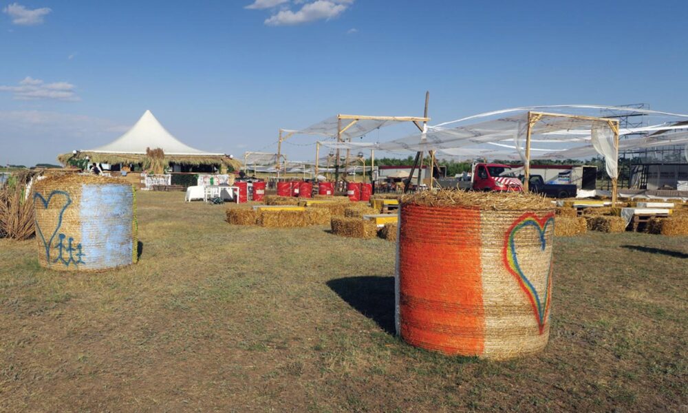 Patru zile de distracție la ”MovilaFest”