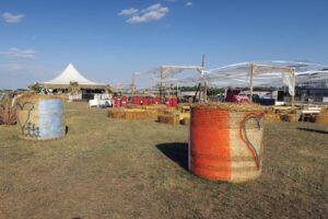 Patru zile de distracție la ”MovilaFest”