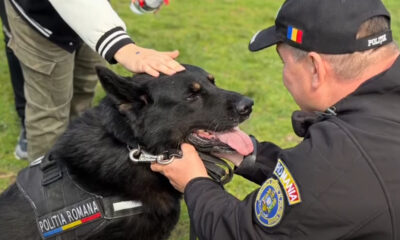 La mulți ani, GIPSY! 10 ani de misiuni îndeplinite cu succes