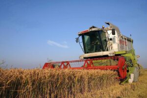 Se prefigurează un an agricol excelent pentru fermierii brăileni