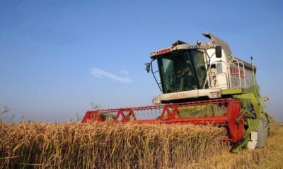 Se prefigurează un an agricol excelent pentru fermierii brăileni