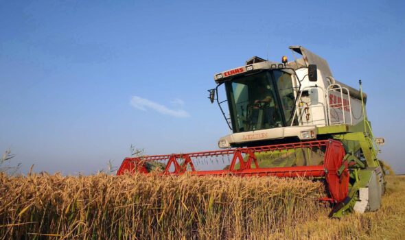 Se prefigurează un an agricol excelent pentru fermierii brăileni
