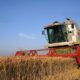 Se prefigurează un an agricol excelent pentru fermierii brăileni