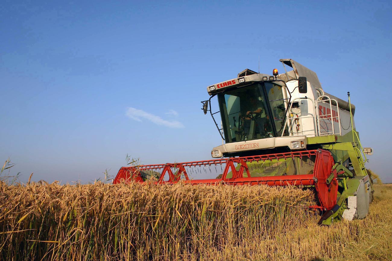 Se prefigurează un an agricol excelent pentru fermierii brăileni