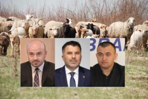 Parlamentarii-fermieri despre despăgubirea crescătorilor de oi