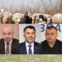 Parlamentarii-fermieri despre despăgubirea crescătorilor de oi