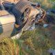 Accident mortal pe DJ 221. Două persoane au murit