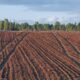 Un fermier și-a distrus 10 hectare de recolte, după ce a urmat sfaturile inteligenței artificiale