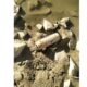 Proiectil neexplodat, găsit în albia râului Buzău
