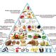 Piramida alimentelor – sfaturi pentru o dietă echilibrată