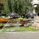 Weekend cu pește, muzică și tradiție la Brăila. Festivalul Peștelui a ajuns la cea de-a VIII-a ediție