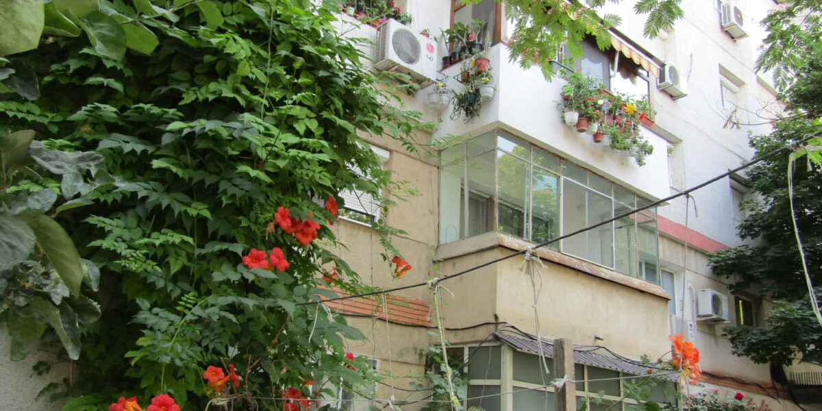 Pasiune pentru frumos. Apartamentul din Brăila cu 800 de ghivece cu flori