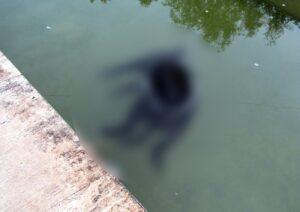 Imagine macabră în bazinul fântânii arteziene de pe Esplanadă