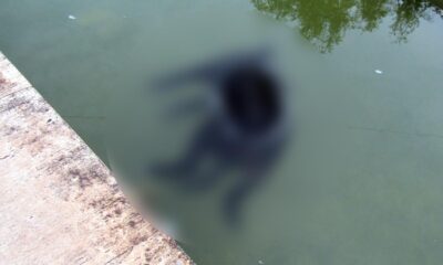Imagine macabră în bazinul fântânii arteziene de pe Esplanadă