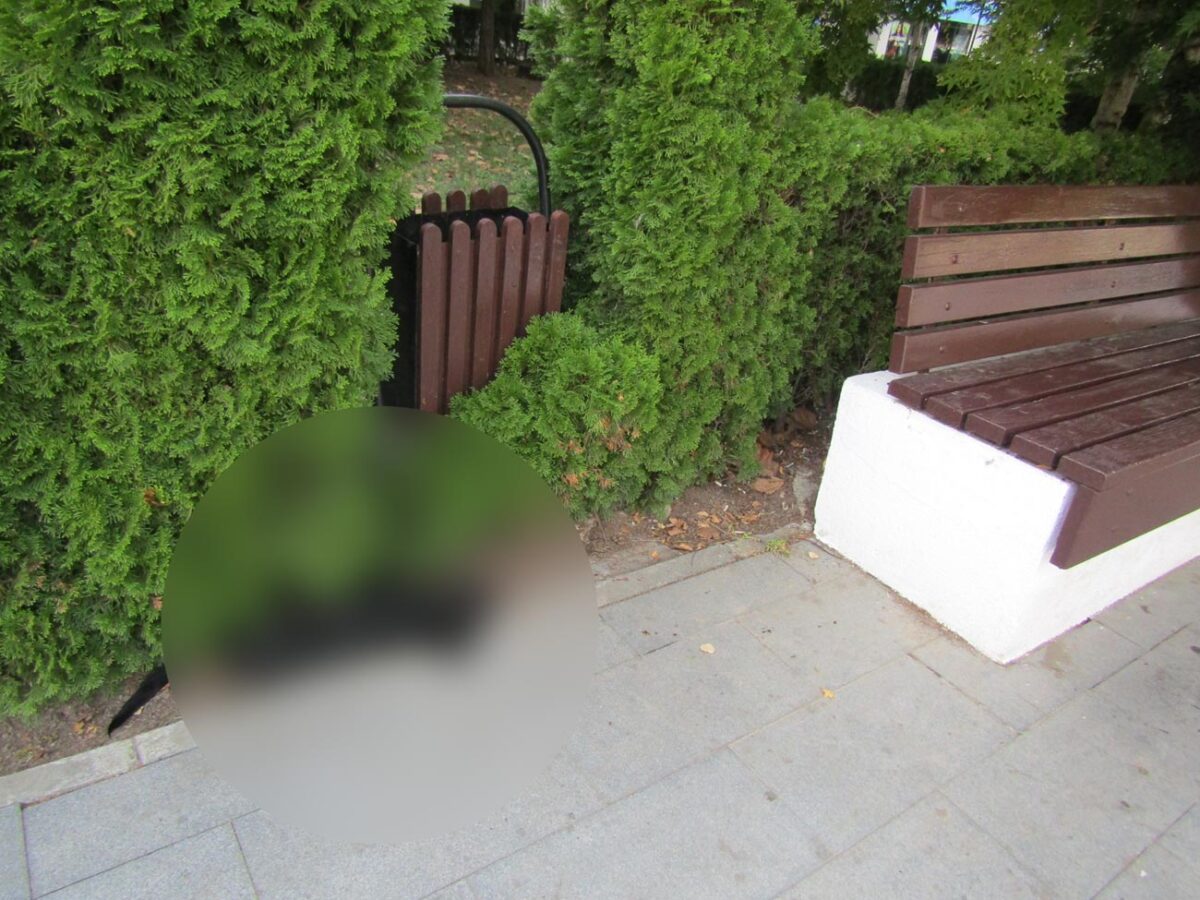 Imagine macabră în bazinul fântânii arteziene de pe Esplanadă