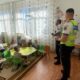 Educație rutieră pentru cei mici. Exemple practice și dialog interactiv cu polițiștii