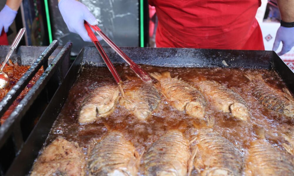 Trei zile de gust, muzică și emoție la Festivalul Peștelui de la Brăila
