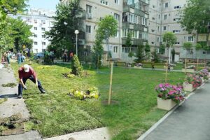 Amendă de 2.500 de lei pentru locatarii care își amenajează grădină în fața blocului. Ce spune legea
