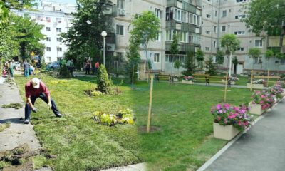 Amendă de 2.500 de lei pentru locatarii care își amenajează grădină în fața blocului. Ce spune legea
