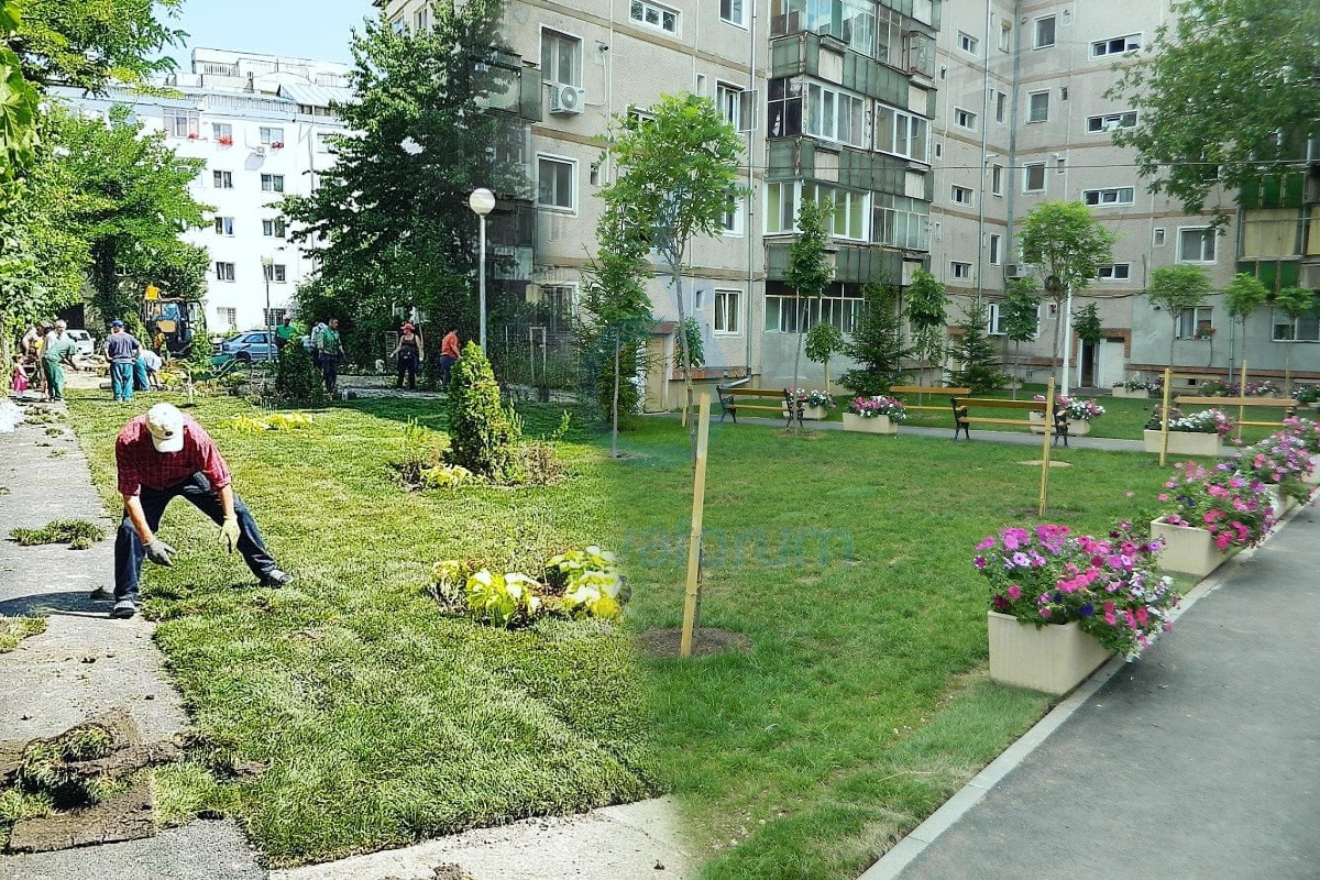 Amendă de 2.500 de lei pentru locatarii care își amenajează grădină în fața blocului. Ce spune legea