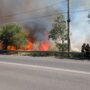 UPDATE Intervenția a fost finalizată. Incendiu de vegetație la ieșirea din municipiu spre digul Brăila – Galați
