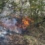 Incendiu de vegetație la ieșirea din municipiu spre digul Brăila – Galați. Traficul auto spre Galați, deviat prin cartierul Vidin