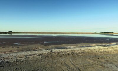 Lacul sărat de la Movila Miresii aproape s-a evaporat