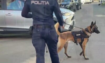 Polițiștii din Brăila, mobilizați în prima zi de școală. Câinii de serviciu au fost și ei în misiune