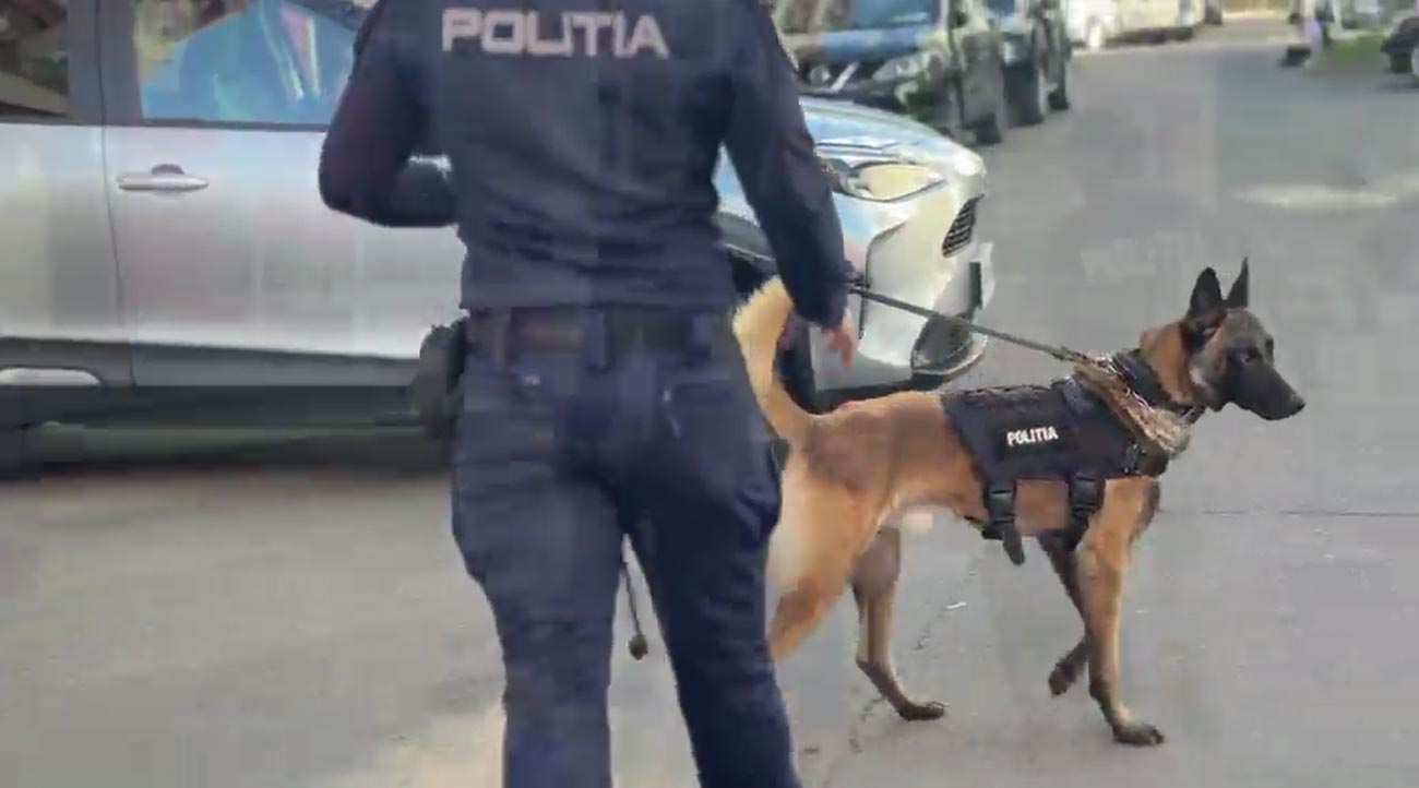Polițiștii din Brăila, mobilizați în prima zi de școală. Câinii de serviciu au fost și ei în misiune