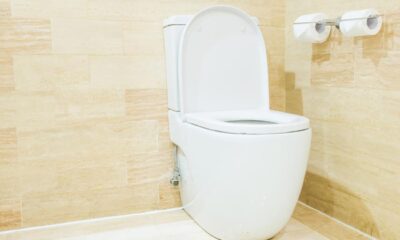 Vasul de toaletă rimless câștigă tot mai mult teren în băile moderne