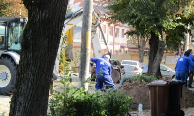 Lucrări complexe pe Bulevardul Independenţei