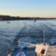 Peste 20 de nave și ambarcațiuni la Exercițiul „Danube Protector 26”