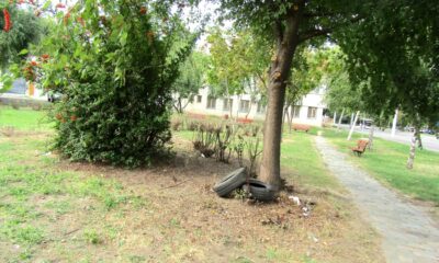 Miniparcul din Barieră, scos parțial la lumină. Aleile au rămas însă impracticabile