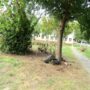 Miniparcul din Barieră, scos parțial la lumină. Aleile au rămas însă impracticabile