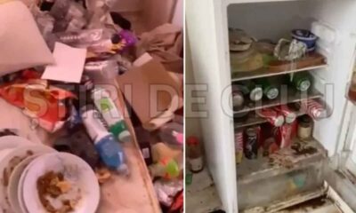 Apartament distrus de chiriași după trei ani. Proprietara spune că a crezut că sunt cadavre în locuință