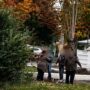 Bătaie în fața școlii din cauza modului în care părinții își parchează mașinile când aduc copiii la cursuri