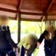 Caz șocant în Brăila! Elevă de 13 ani umilită și bătută de colegi